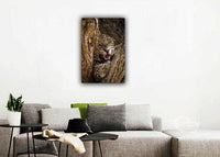 Don't You Mess with Me