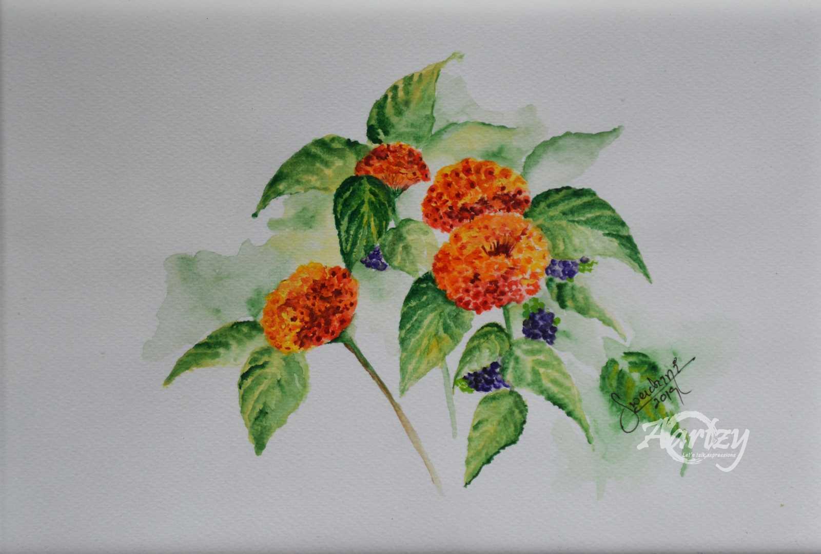 Wild Lantana