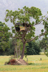 The Watchtower