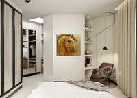 Stallion's Aspect