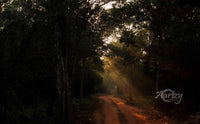 Spotlight to Escape