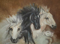 The Race