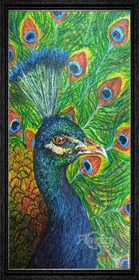 Colors of a Peacock