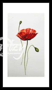Red Poppy with Buds