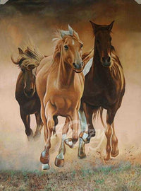 Stallions