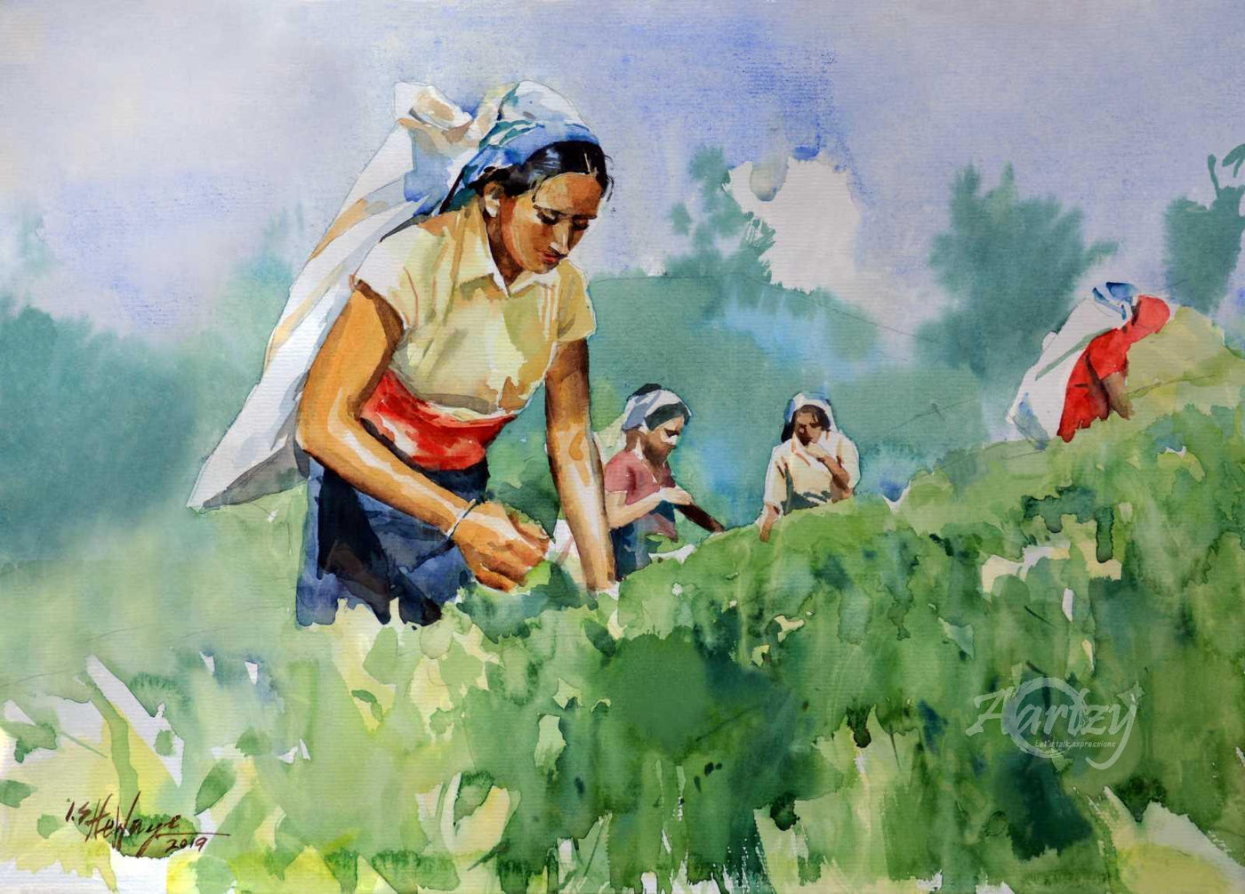 Picked for Perfection