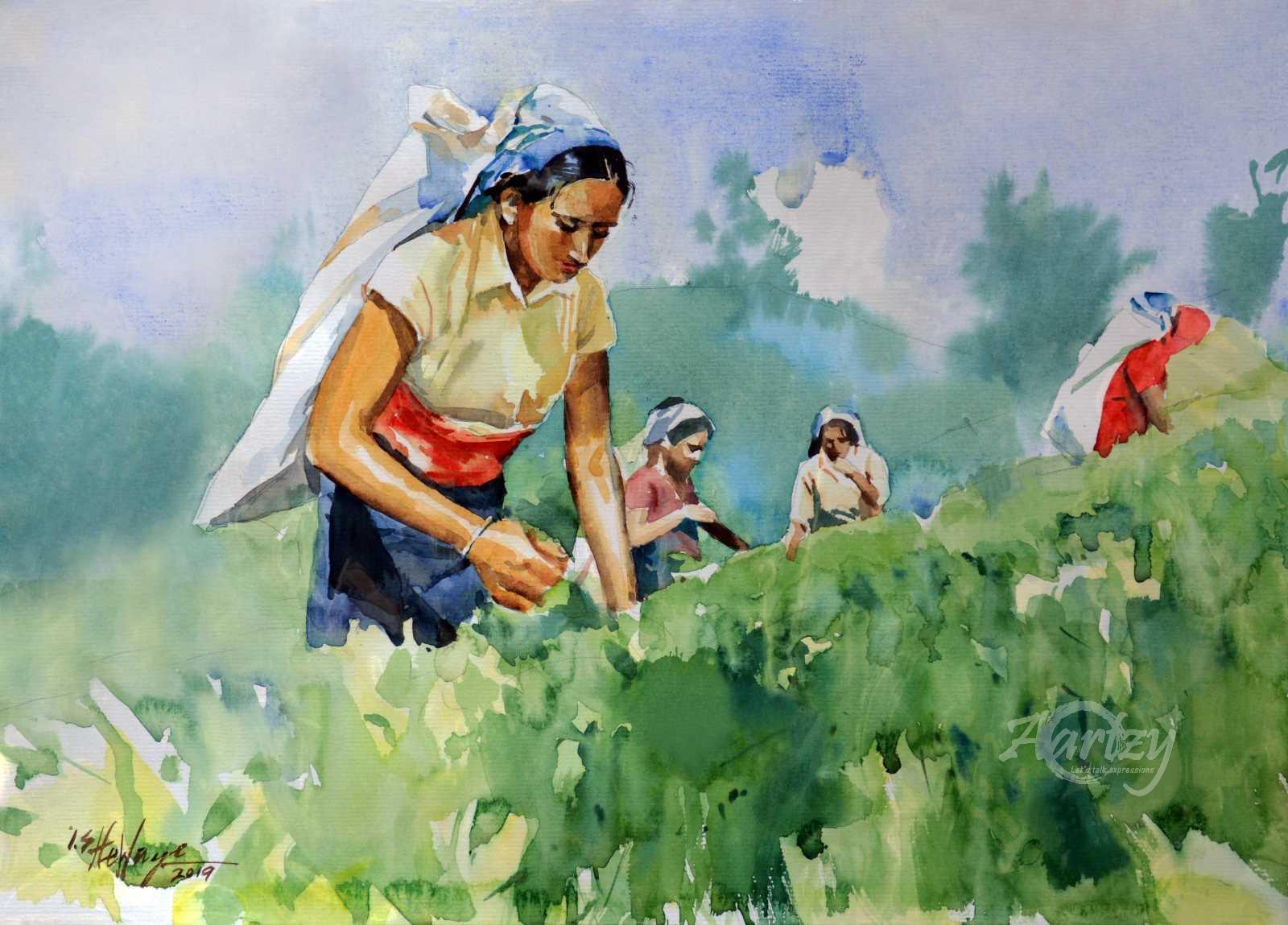 Picked for Perfection