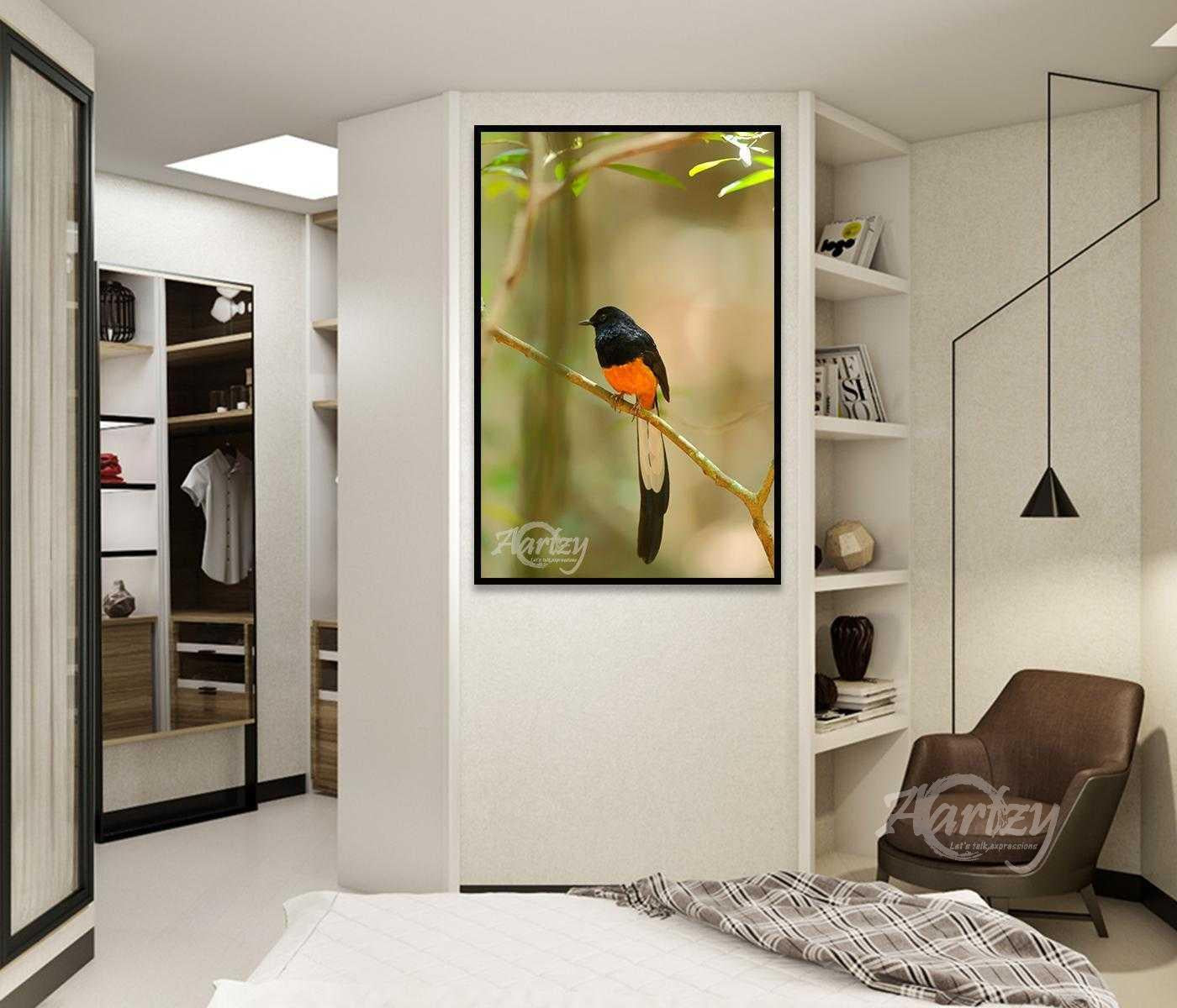 Orange Bellied Observer