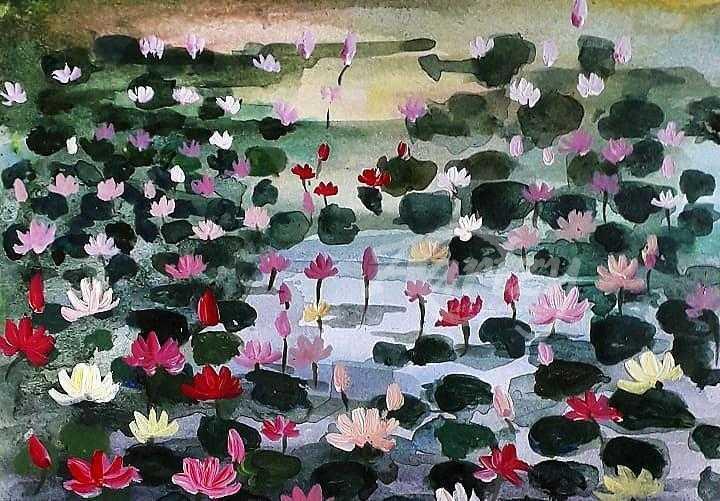 The Lotus Field