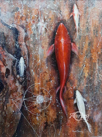 Carp Upstream