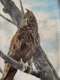 Hawk Eagle