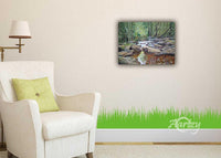 Peaceful Woodland