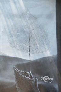 Structure of Life