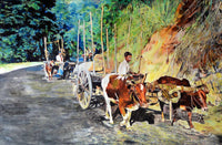 The Caravan