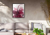 Hibiscus Blooms