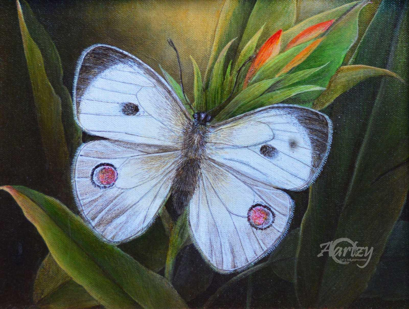 A Silhouette Robed in White