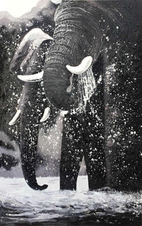 Gentle Giants