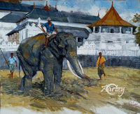 A Tusker's Fate
