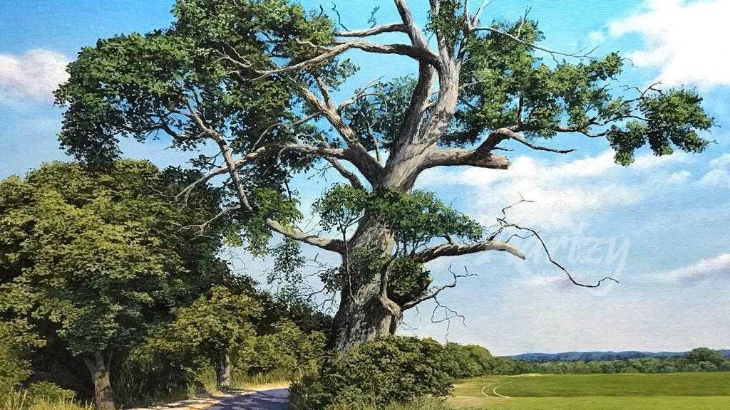 Beauty of the Village