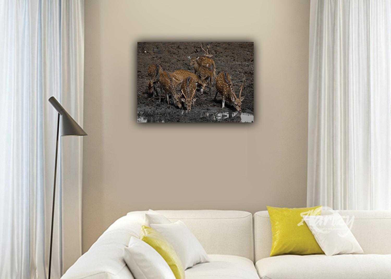 Watching out for Each Other