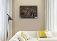 Watching out for Each Other