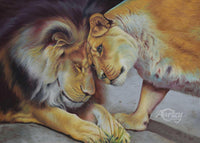 Graceful Love