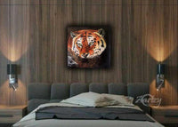 Eyes of the Tiger