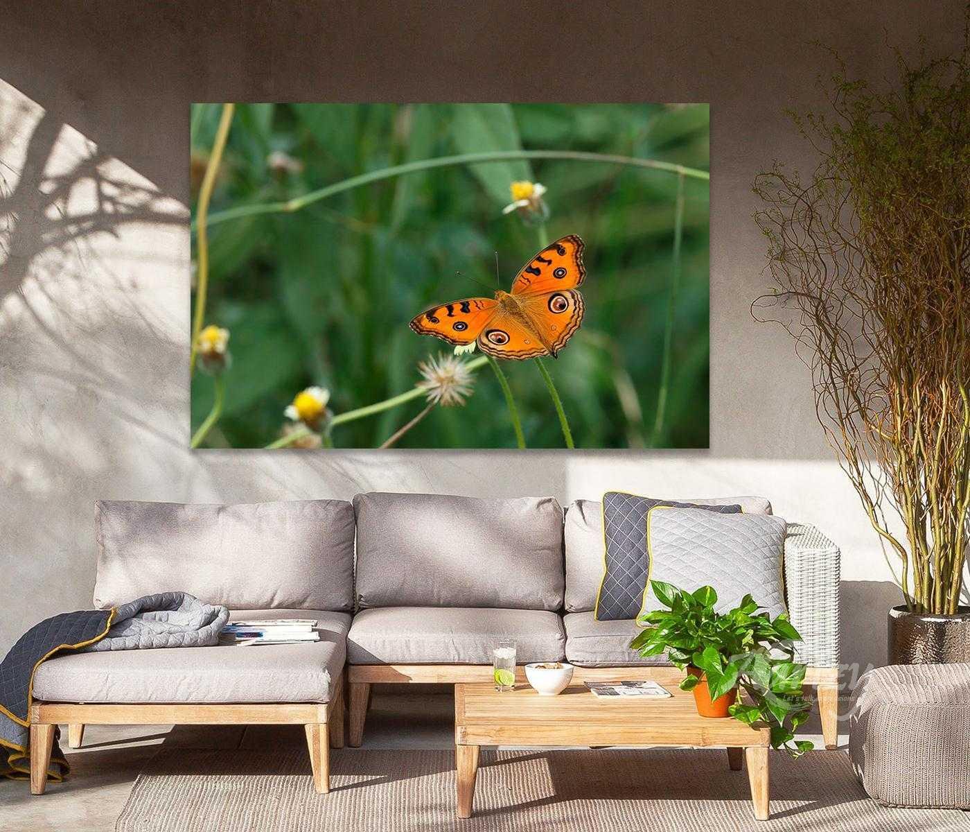 Wings Were Meant to Fly