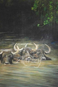 Wading Through Muddy Waters