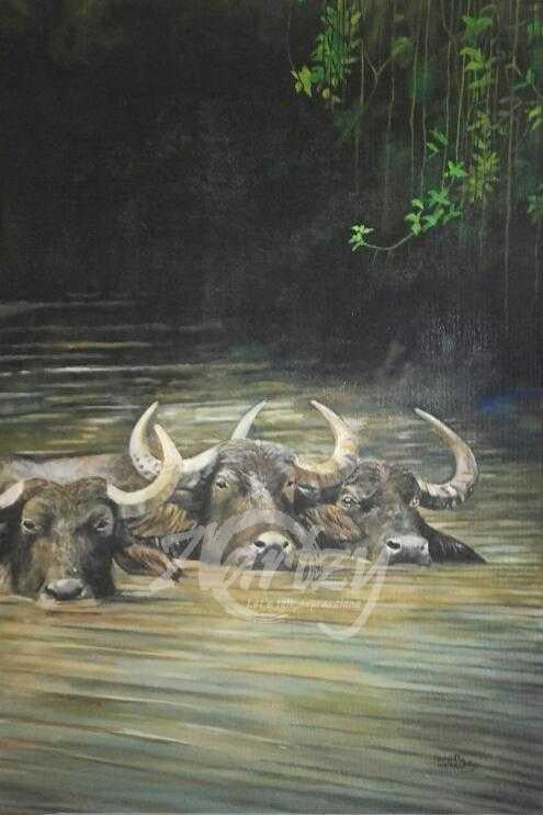 Wading Through Muddy Waters