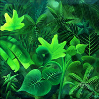 Wild Beauties