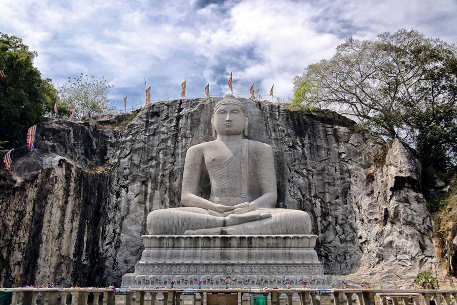 Majesty Reaching to the Sky