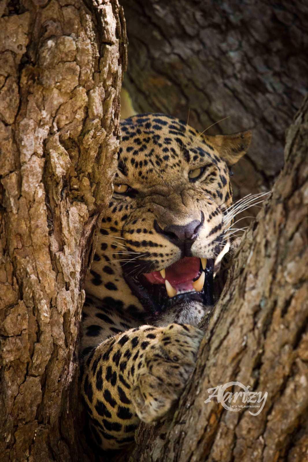 Don't You Mess with Me