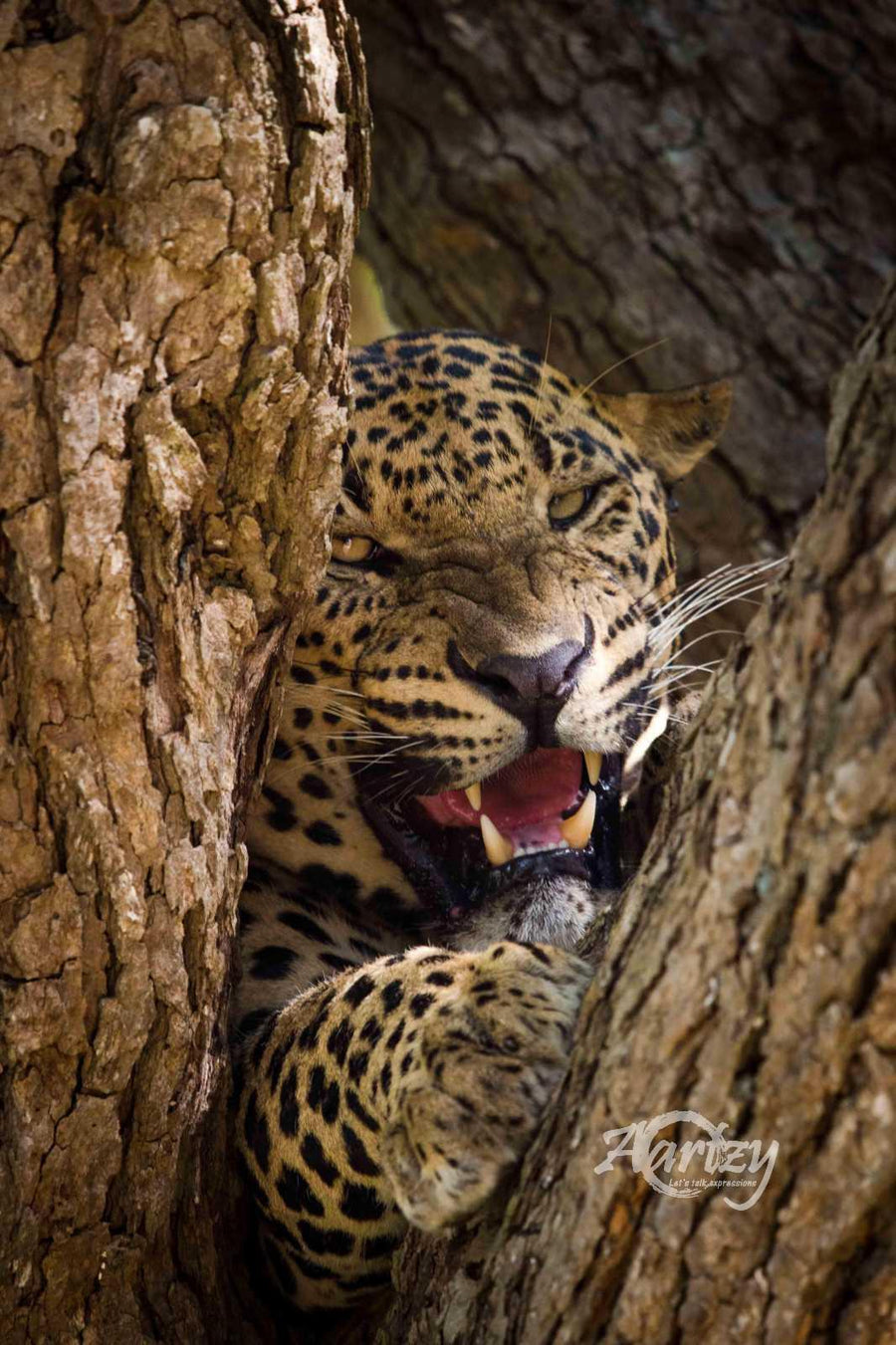 Don't You Mess with Me