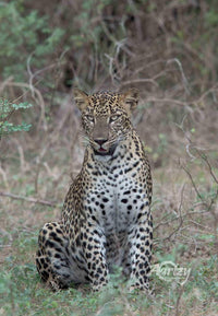 Hunting Fails
