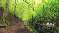 Walk in the Woods