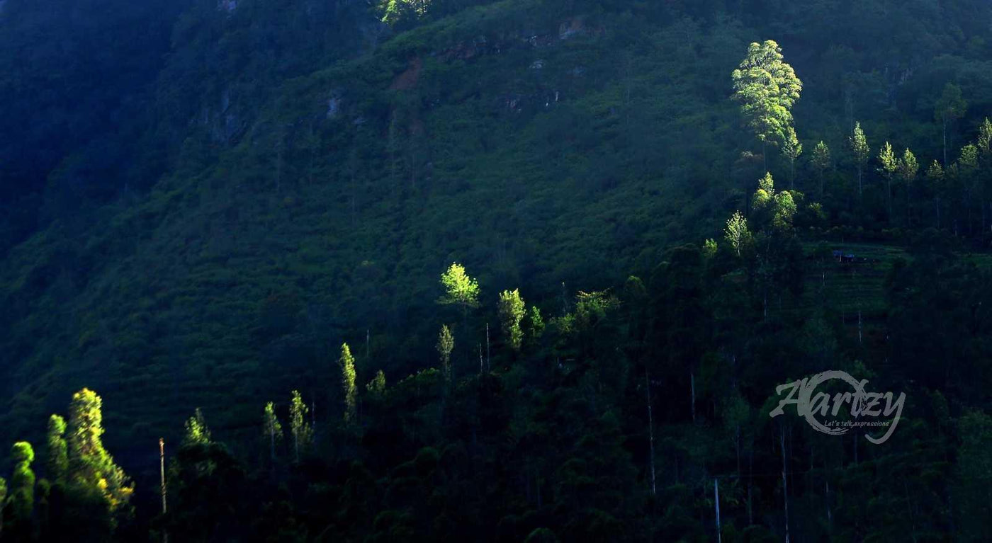 Glimpse of a Sunrise