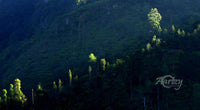 Glimpse of a Sunrise