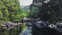 Fresh Water Stream