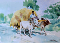 Rural Life