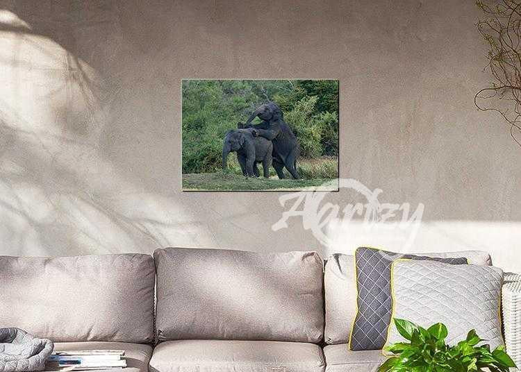 Mischief in the Wild