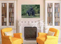 Mischief in the Wild