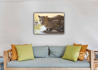 Cold Drink on a Hot Day