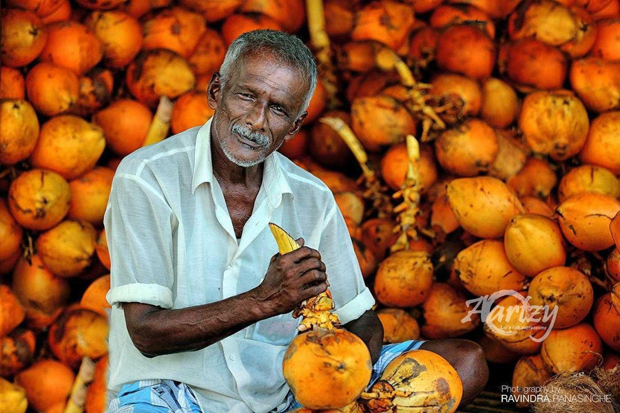 Pride of the Merchant