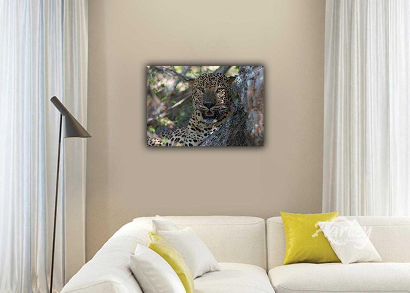 Are You Looking At Me?