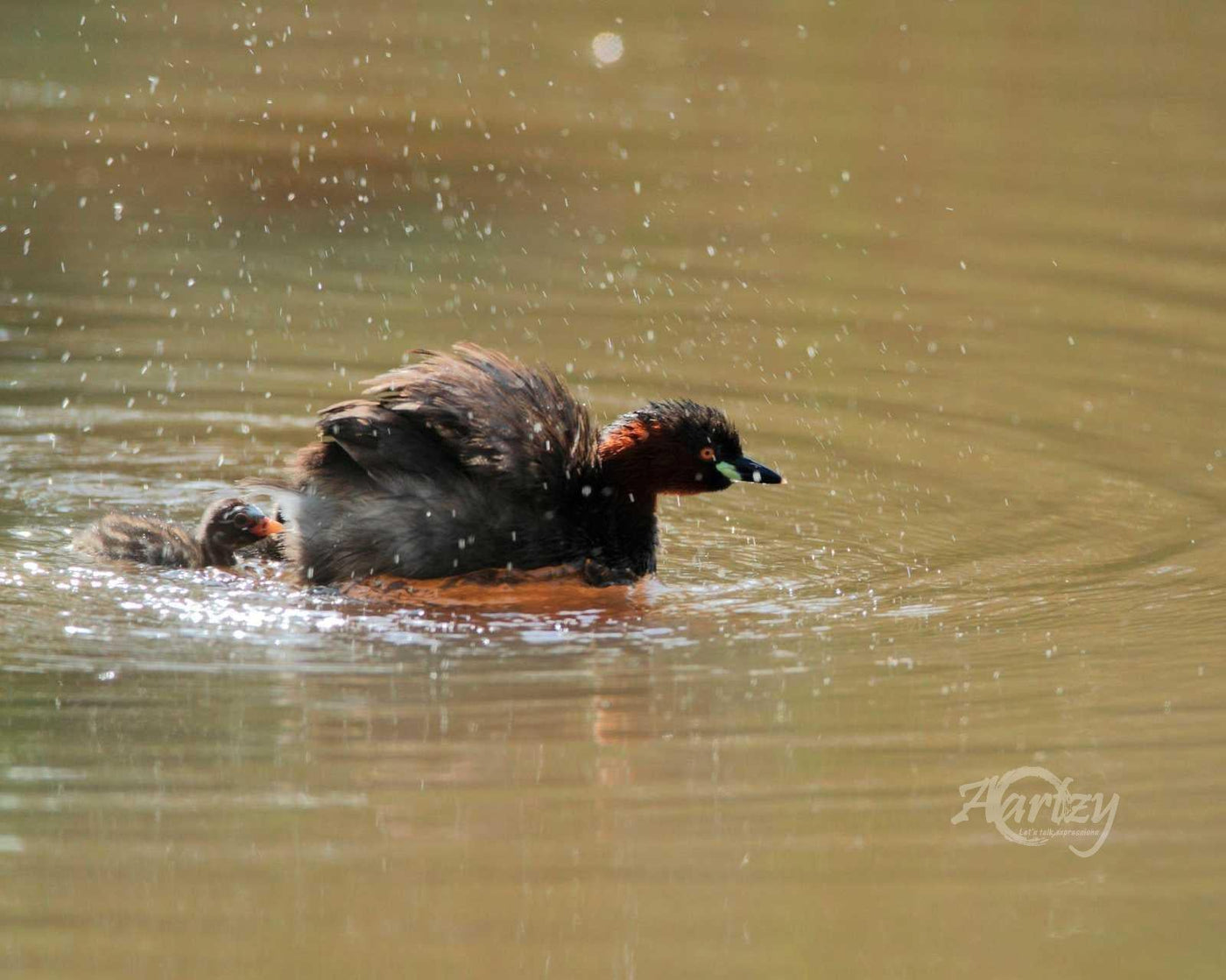 Parenting Skills in Practice