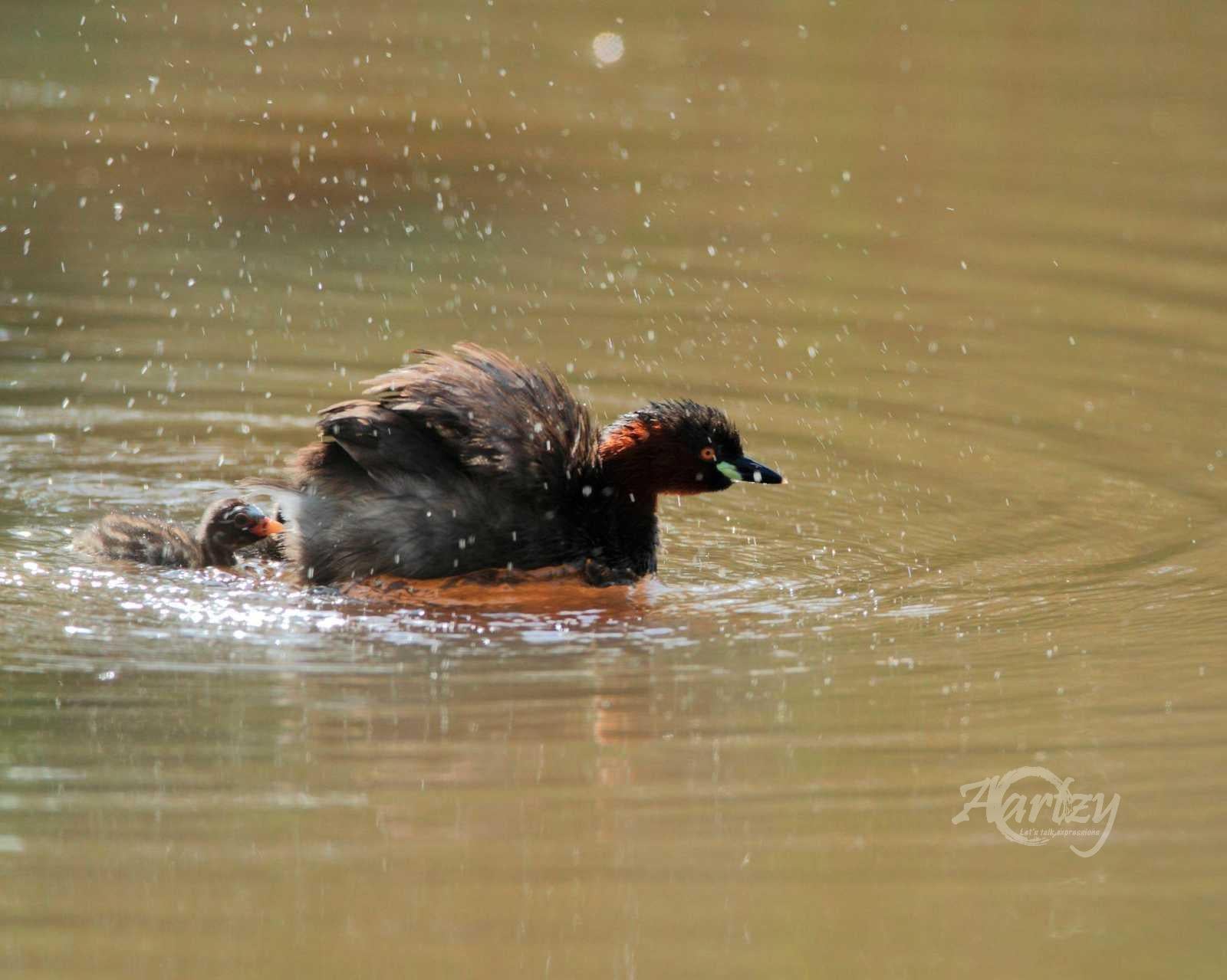 Parenting Skills in Practice