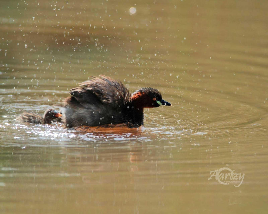 Parenting Skills in Practice