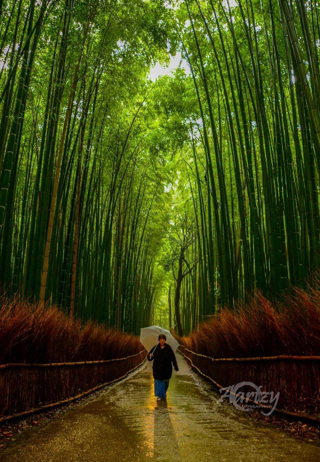 A walk among the Giants