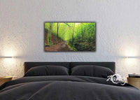 Walk in the Woods